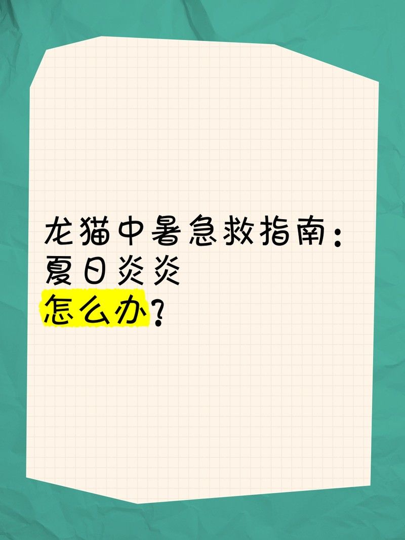 龍貓中暑后如何急救？（龍貓中暑如何急救）
