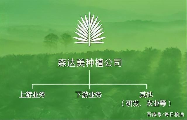 金龍魚和中糧現在還有<strong><mark>合作</mark></strong>嗎？（金龍魚與中糧集團目前仍存在業務關聯）