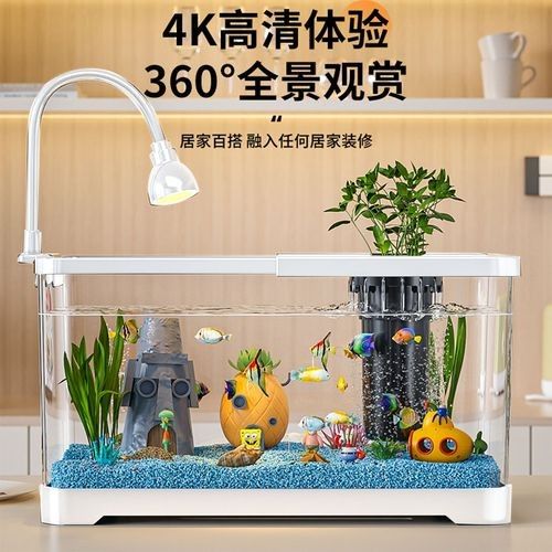 如何選擇合適的魚缸品牌？（魚缸品牌怎么選最新款魚缸品牌推薦及選購指南）
