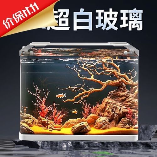 如何選擇合適的魚缸品牌？（魚缸品牌怎么選最新款魚缸品牌推薦及選購指南）