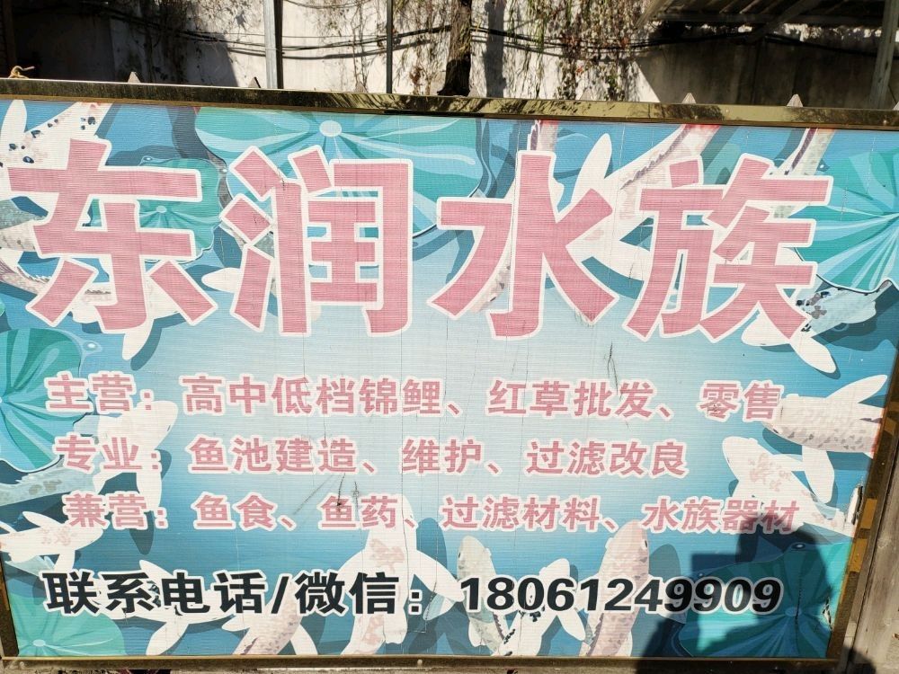雨花臺哪個水族館龍魚好？祥龍魚場龍魚（<strong><mark>南京</mark></strong>花臺區祥龍魚場）