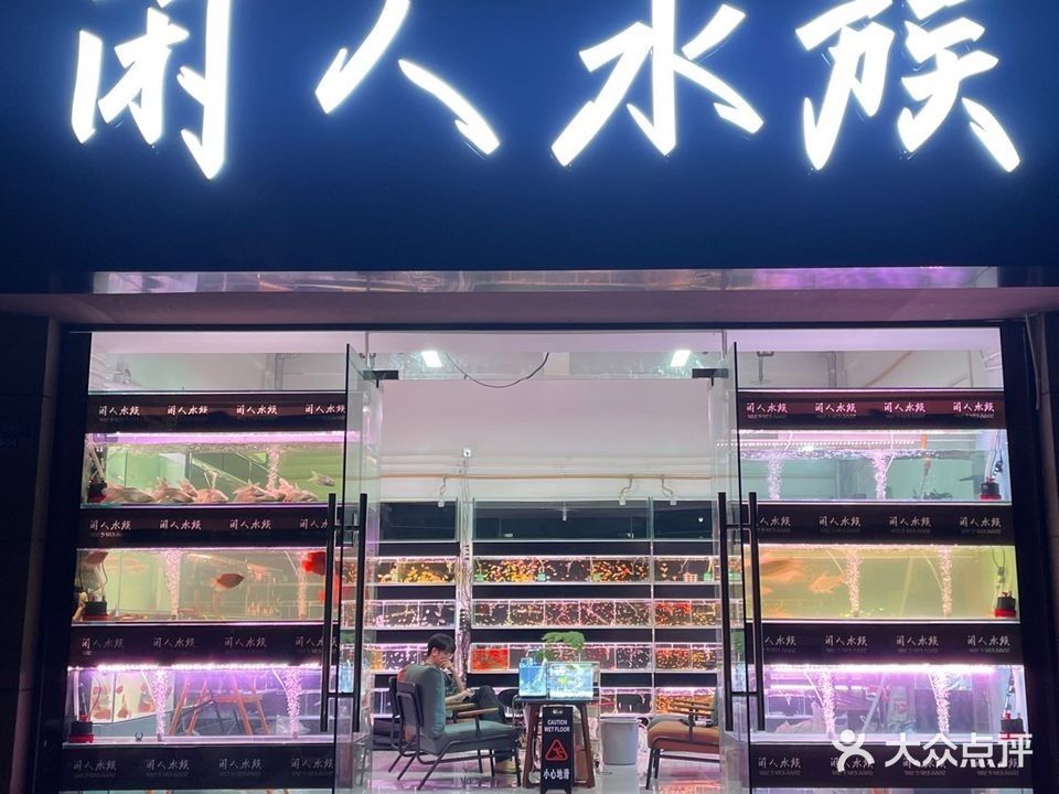 雨花臺哪個水族館龍魚好？祥龍魚場龍魚（南京花臺區祥龍魚場）