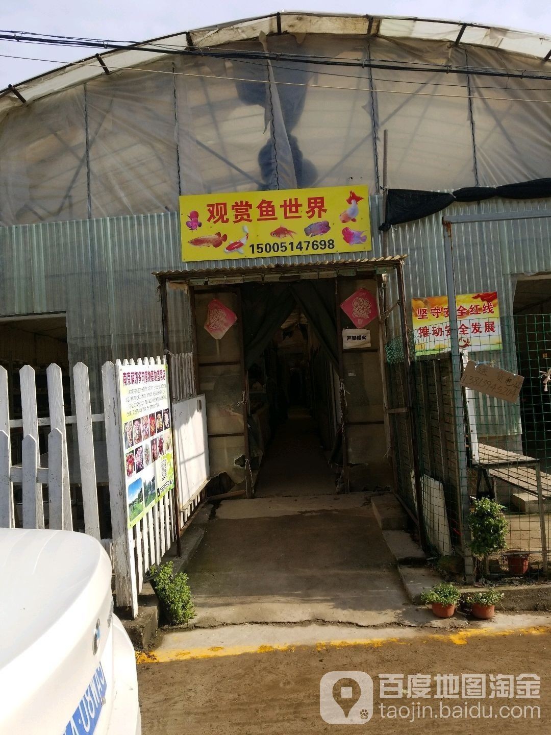 雨花臺哪個水族館龍魚好？祥龍魚場龍魚（南京花臺區祥龍魚場）