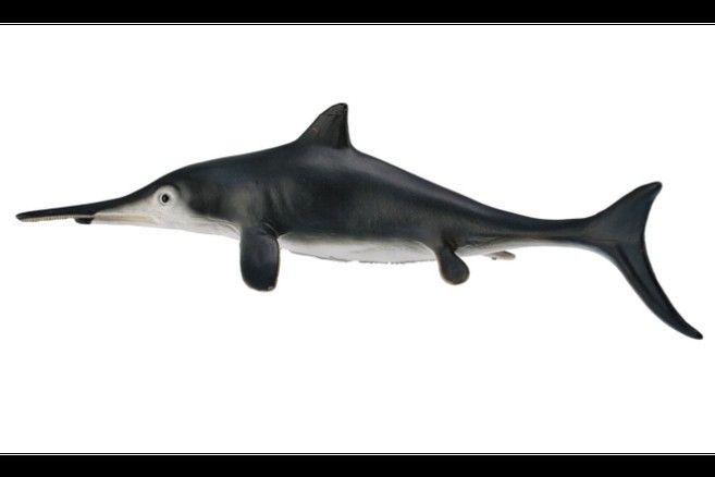 如何快速獲得開心水族箱中的劍龍魚（《開心水族箱》如何隱藏成就）