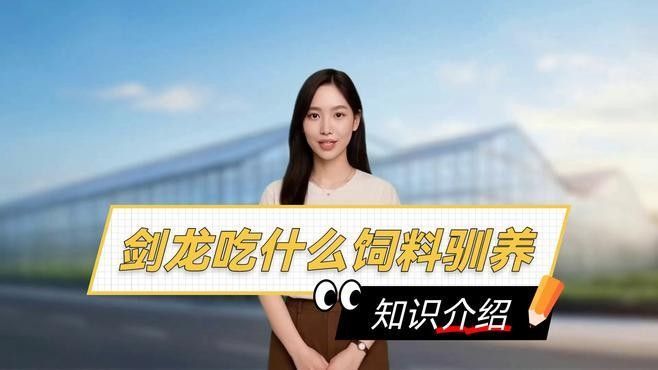 如何快速獲得開心水族箱中的劍龍魚（《開心水族箱》如何隱藏成就）