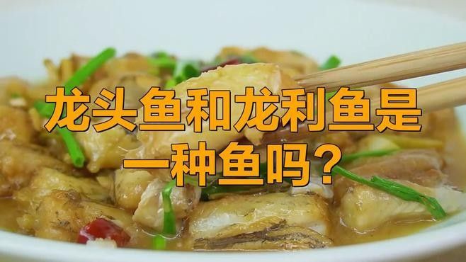 龍頭魚和龍魚有什么區別（龍頭魚與龍魚的區別）