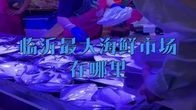 華東國際水產城有哪些知名的龍魚商戶（華東國際水產城有哪些知名的龍魚商戶？）