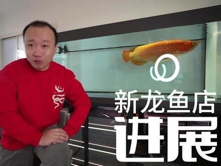 華東國際水產城有哪些知名的龍魚商戶（華東國際水產城有哪些知名的龍魚商戶？）