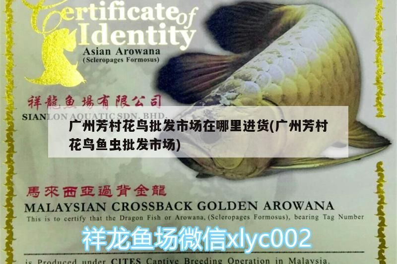 廣州芳村花鳥批發(fā)市場在哪里進貨(廣州芳村花鳥魚蟲批發(fā)市場)（廣州市花地花鳥魚蟲批發(fā)市場）