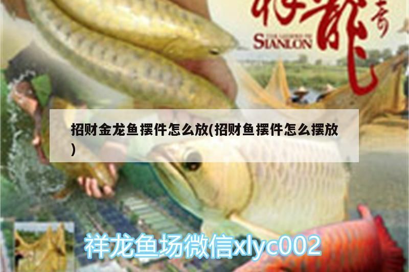 招財金龍魚擺件怎么放(招財魚擺件怎么擺放)（招財金龍魚擺件怎么擺放）