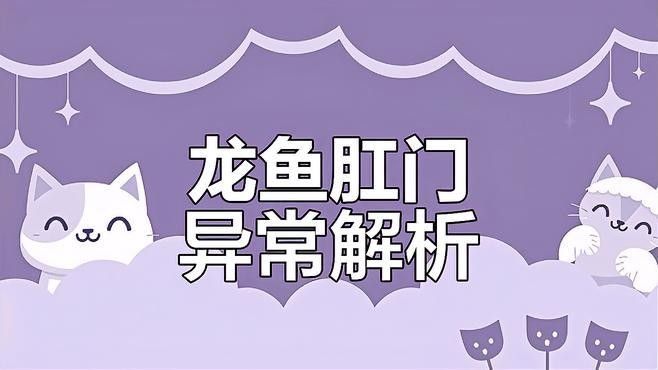 龍魚肛門鼓起可以自愈嗎？（龍魚肛門鼓起是否可以自愈取決于具體病因和嚴重程度）