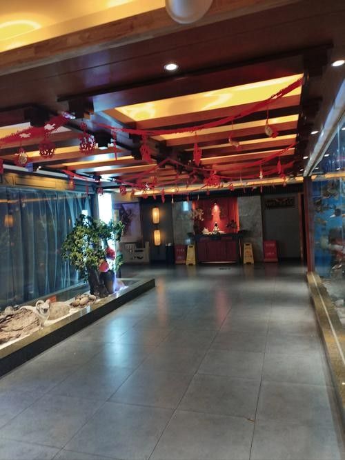 香河哪個水族館龍魚好？祥龍魚場龍魚（廣州祥龍魚場一條龍魚大概要多少錢）