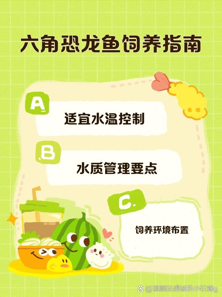 六角龍魚缸需要打氧嗎