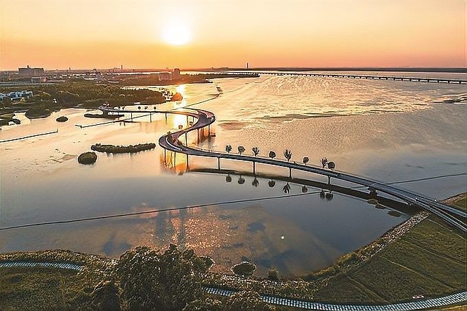 仟湖和森森哪個更環保？（仟湖和森森哪個更環保仟湖魚缸和森森哪個好聽聽老魚友怎么說）