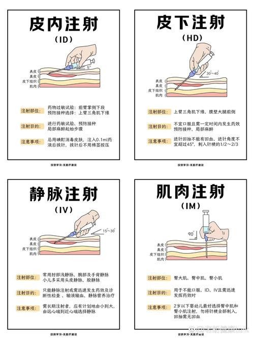 如何預防白龍魚生病？