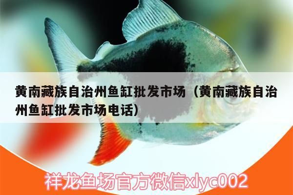 黃南藏族自治州魚缸批發市場（黃南藏族自治州魚缸批發市場電話）（南充黃南藏族自治州魚缸批發市場）