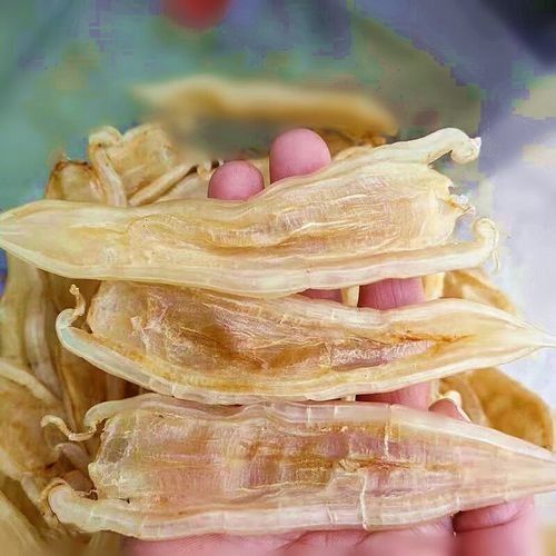 北海金龍魚(yú)膠的價(jià)格是多少？（北海金龍魚(yú)膠價(jià)格因規(guī)格和品牌差異較大主要分為以下幾檔）