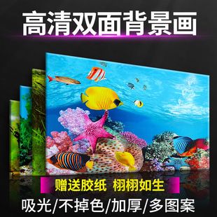 長治花鳥魚市魚缸店（長治花鳥魚市魚缸店電話）（長治花鳥魚市魚缸店）