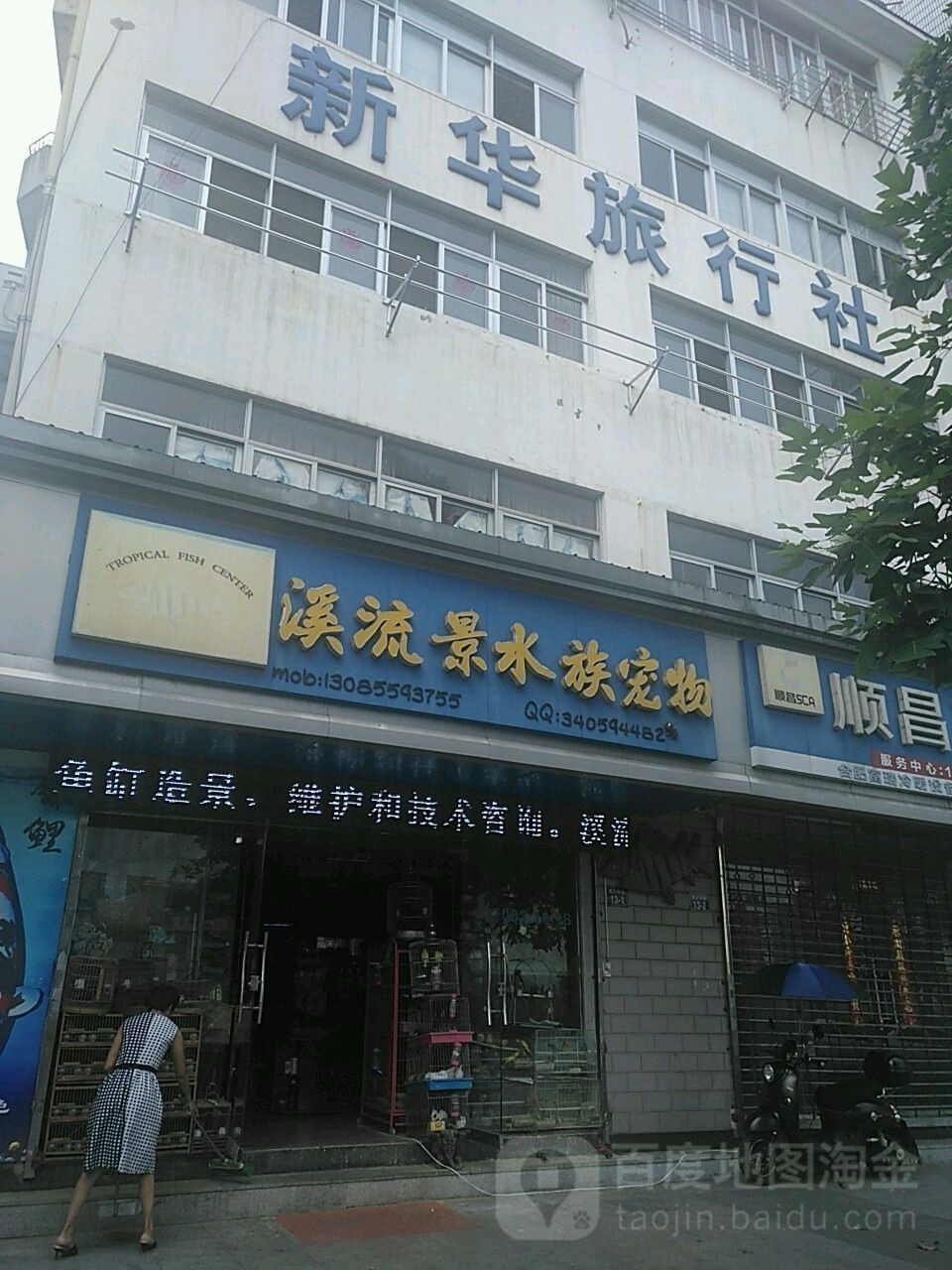 屯溪哪個(gè)水族館龍魚(yú)好？祥龍魚(yú)場(chǎng)龍魚(yú)（安徽黃山祥龍魚(yú)場(chǎng)聊城水族館|聊城水族館）