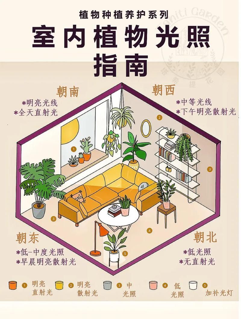 混養環境中需要哪些躲避裝飾？