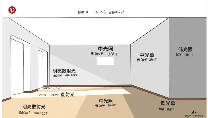 混養環境中需要哪些躲避裝飾？