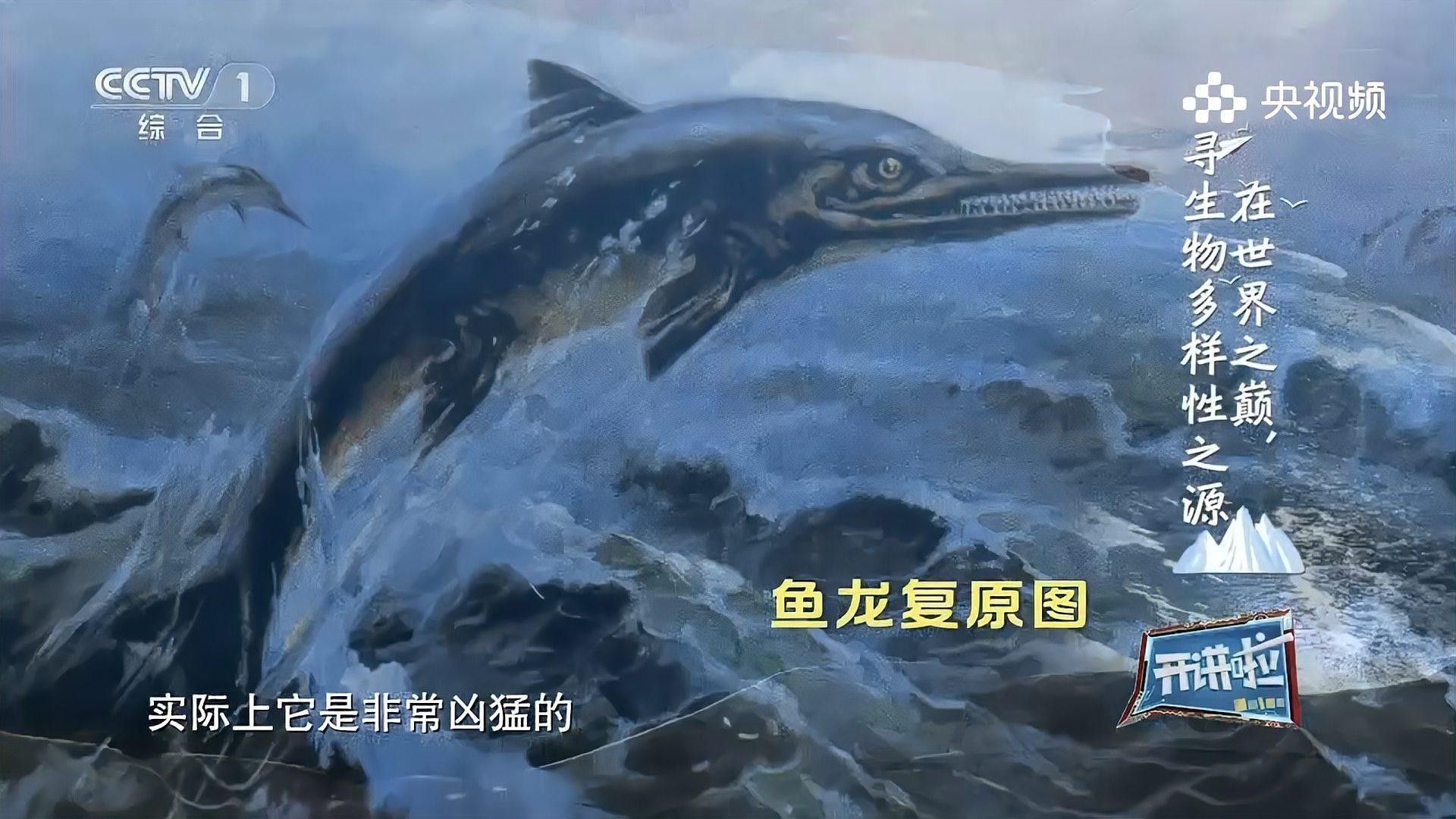 龍魚化石有哪些種類（億萬年前巨大魚龍化石震撼來襲魚龍微信公眾平臺發(fā)現(xiàn)）
