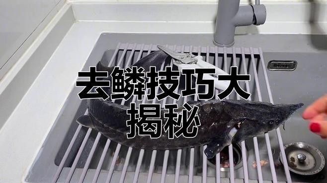龍魚溶鱗初期如何處理（龍魚溶鱗初期處理方法）