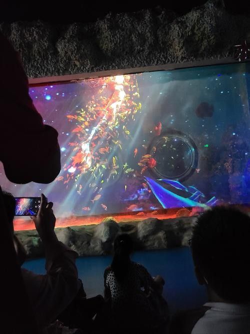 寧陵哪個水族館龍魚好？祥龍魚場龍魚