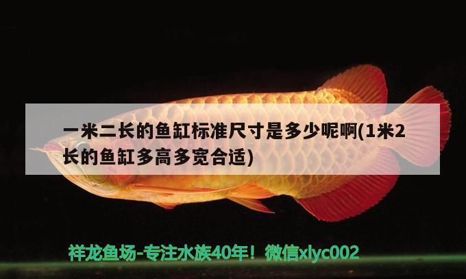 一米二長的魚缸標準尺寸是多少呢啊(1米2長的魚缸多高多寬合適)