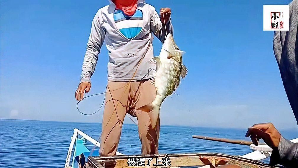 哪種土龍魚最名貴（安徽男子釣到一條“土龍”多人高價想買民生百事通老陳世界最貴）