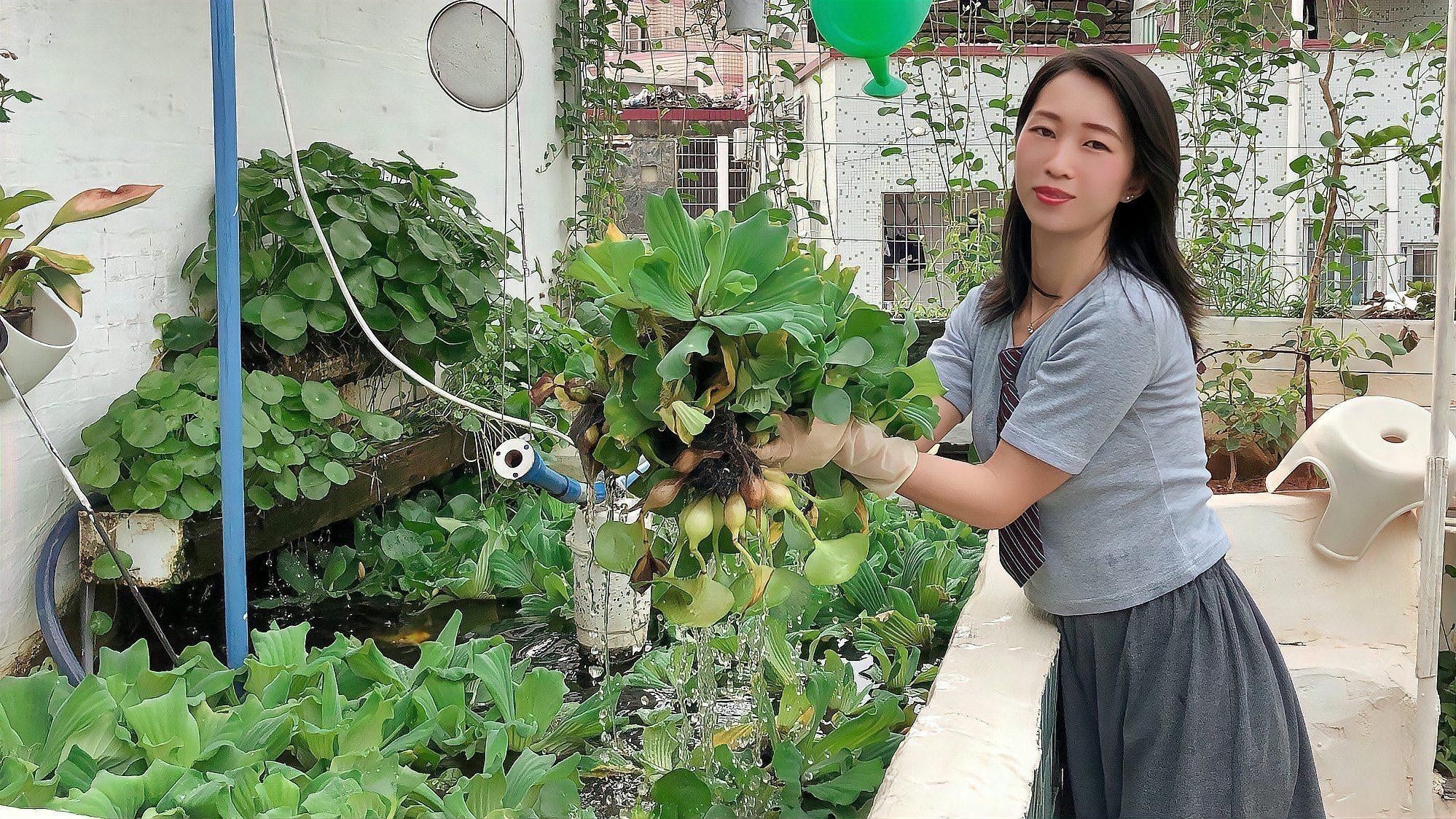 哪些水草適合混養？（養水草的適宜性取決于多種因素，包括水質條件、光照、溫度和營養需求）
