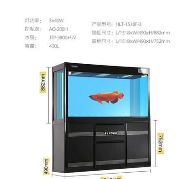 家里魚缸養什么魚養幾條好看（家里魚缸養什么魚養幾條好看呢）（在家里魚缸中養什么魚，養幾條好看）