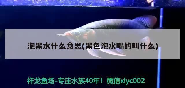 泡<strong><mark>黑水</mark></strong>什么意思(黑色泡水喝的叫什么)