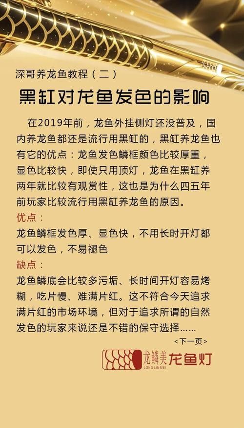 如何選購高品質龍魚？
