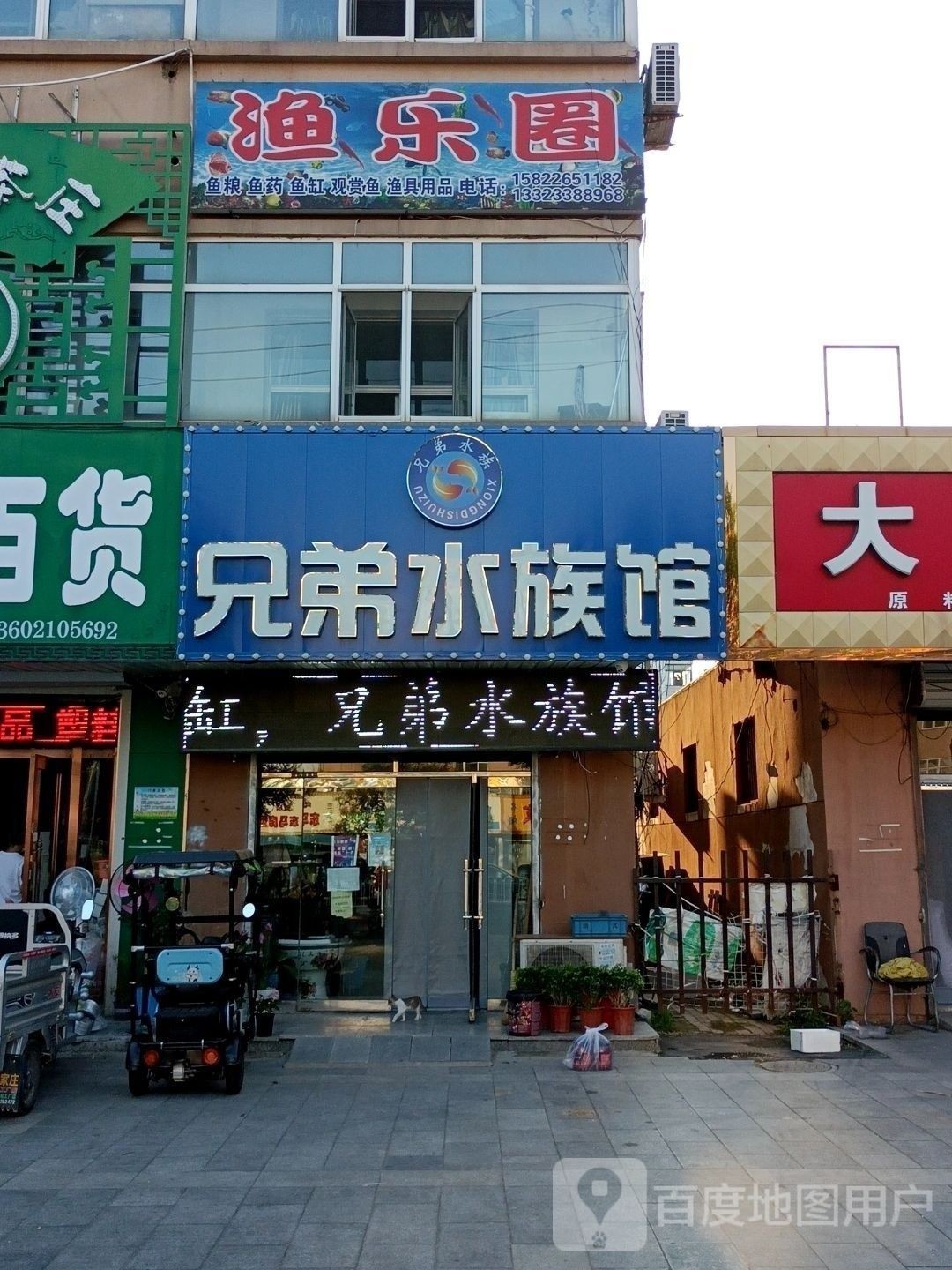 武清哪個(gè)水族館龍魚好？祥龍魚場(chǎng)龍魚