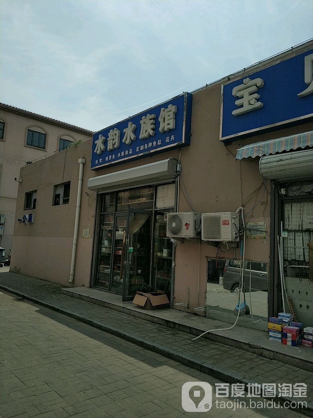 武清哪個(gè)水族館龍魚好？祥龍魚場(chǎng)龍魚