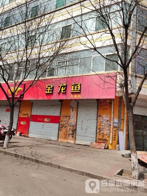 如何聯系金龍魚拱康路店