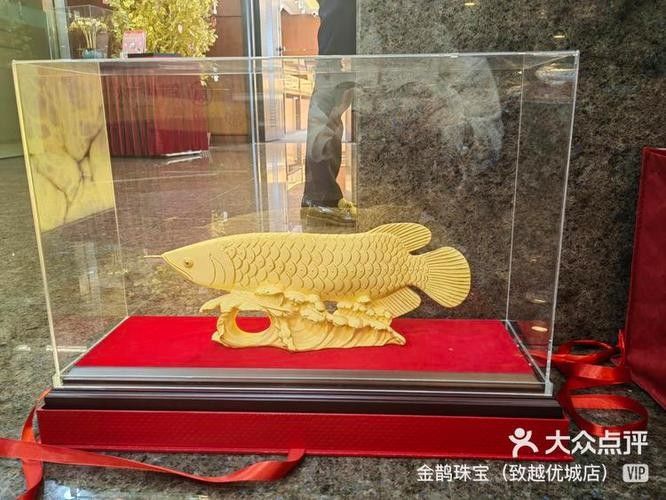 如何聯系金龍魚拱康路店
