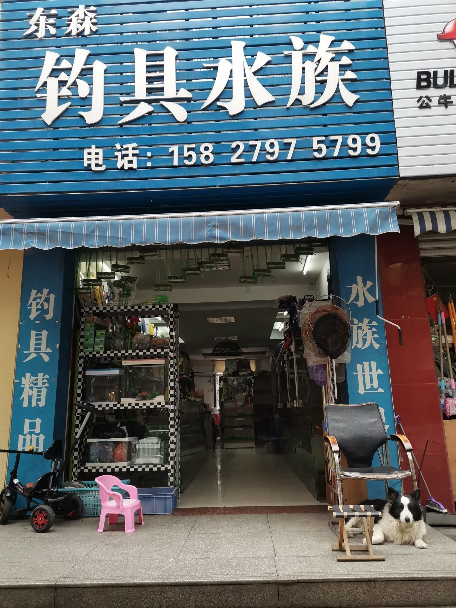 潛江哪個水族館龍魚好？祥龍魚場龍魚（潛江市祥龍魚場）