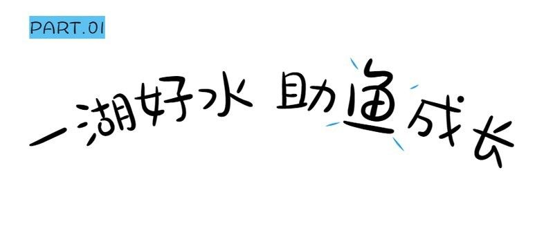 金龍魚未來有何發展規劃？
