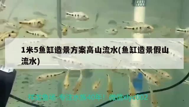 三明水族館:那個高手幫忙解答一下（三明水族館:三明水族館:那個高手幫忙解答一下）
