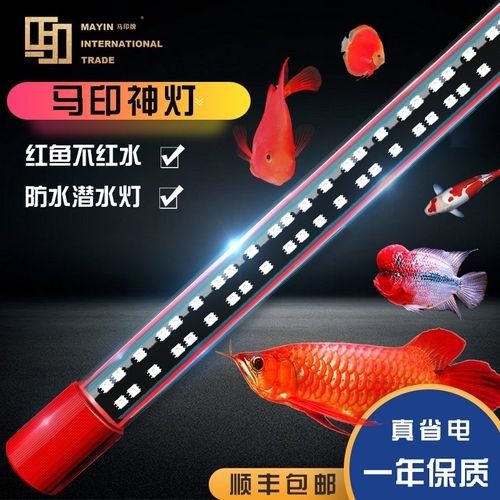 金龍魚燈的價格范圍是多少？（金龍魚專用燈價格范圍）