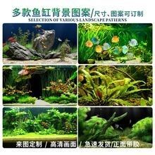 龍魚缸壁紙的價格范圍（影響龍魚缸壁紙價格的因素）