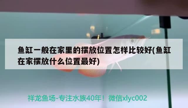 魚(yú)缸一般在家里的擺放位置怎樣比較好(魚(yú)缸在家擺放什么位置最好)