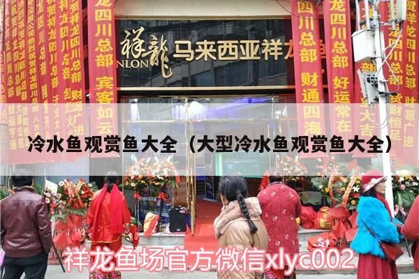 冷水魚觀賞魚大全（大型冷水魚觀賞魚大全）