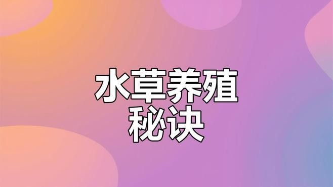 如何種植適合龍魚的水草（水草缸養(yǎng)龍魚造景教程） 如何種植適合龍魚的水草（水草缸養(yǎng)龍魚造景教程） 龍魚百科 第1張