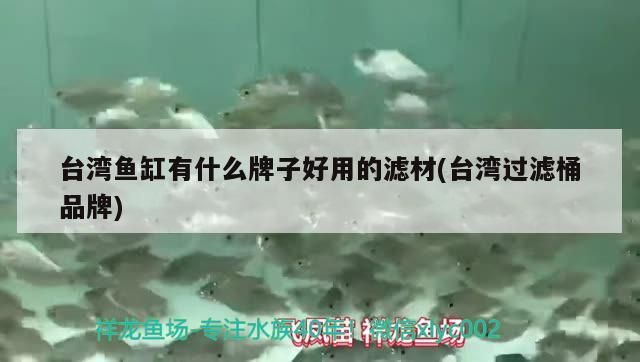 臺灣魚缸有什么牌子好用的濾材(臺灣過濾桶品牌)（臺灣魚缸有什么牌子好用的濾材）