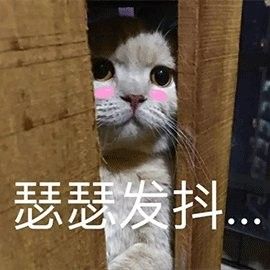 哪些醫院擅長金龍魚口腔手術？