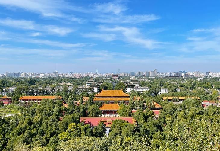 能再給我幾張參考圖片嗎