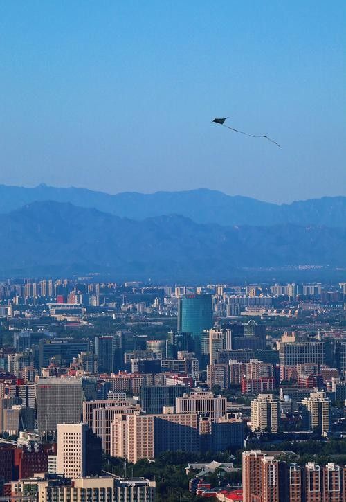 能再給我幾張參考圖片嗎